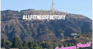 allfitnessfactory.de hollywood share it