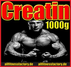 Activevites 1000g Creatin Monohydrat