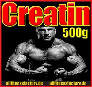 Activevites 500g Creatin Monohydrat