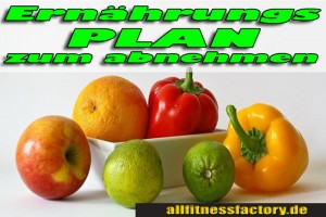 Ernährungsplan zum Abnehmen 2