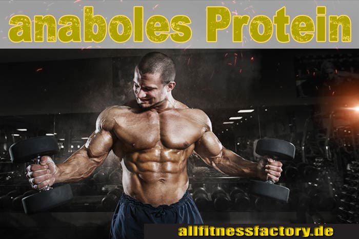 Protein anaboles