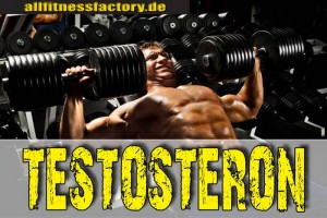Testosteron GET BIG