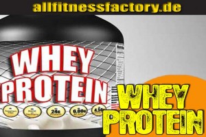 was bedeutet whey protein