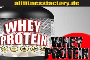 Whey Protein oder Mehrkomponenten