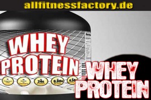 Whey Isolate oder Whey Protein