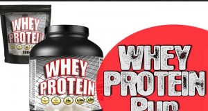 Muskelaufbau Whey Protein