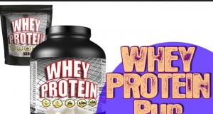 mehrkomponenten protein oder whey