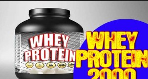 Was bringt Whey Protein