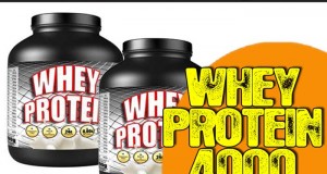 Welches Whey Protein kaufen