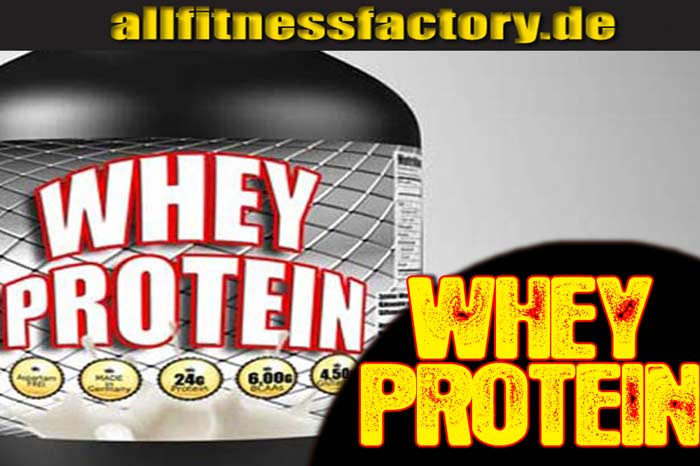 Protein Shake Whey