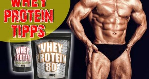 whey protein vor oder nach dem training