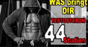 Was bringt Testosteron