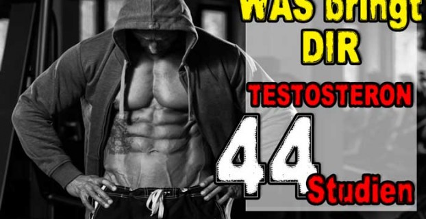 Was bringt Testosteron