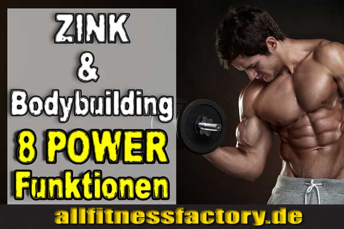 zink bodybuilding