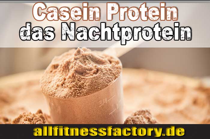 Casein-Protein